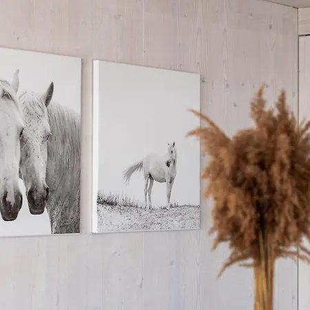 וילה Monika - Buqez *