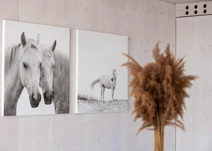 Villa Monika - Buqez *